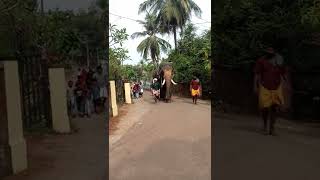 Cherpulassery Manikandan ,, manjeri