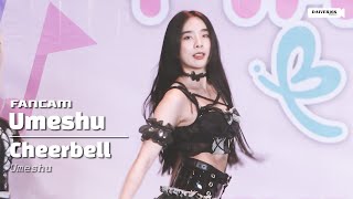 230506 [Fancam] Cheerbell Umeshu - Full Stage @ Maylody Live 2023 | DONKI Mall Thonglor [4K]