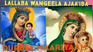 Lallaba wangeelaa Ajaa'iba waa'ee dubaro Maariyaam barnoota laphee nama cabsu#duet #habesha