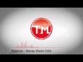 Steerner - Waves (Radio Edit)
