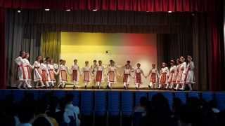 Music and Dance Annual Performance 2014-15