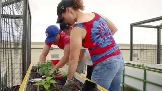 Imperial Building Rooftop Garden