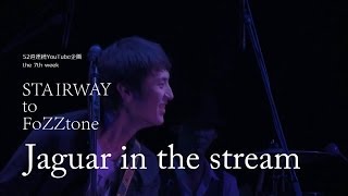 【歌詞つき】Jaguar in the stream (live ver) / FoZZtone [official]