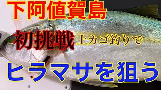 初挑戦！阿値賀島　上カゴ釣りでヒラマサを釣る