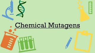 Chemical Mutagens