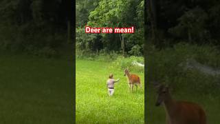 Deer pounces on kid 😳 #deer #whenanimalsattack #wildlife #whitetaildeer