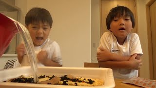 ペヤングペタマックス辛味噌ラーメンを食べた　＃1191　ひなごんおいちゃんどんちゃん三兄弟vlog