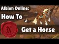 Albion Online: Easiest way to get a Horse!