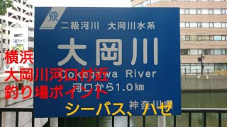 【釣り場紹介シリーズ#11】in 大岡川河口付近(横浜)