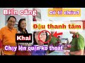 Lớn  chuyện rồi cả nhà ơi.  #biencang #giacatphong