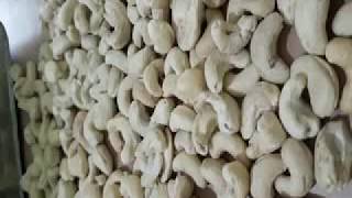 Best Quality Panruti Cashew W320 overview. Indian Origin. Good Business.