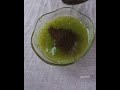 aam panna recipe summer drink mango panna recipe healthy drink recipe aampanna summerdrink