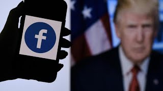 Meta va rétablir les comptes Facebook et Instagram de Donald Trump • FRANCE 24