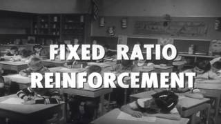 Controlling behavior through reinforcement (1956)
