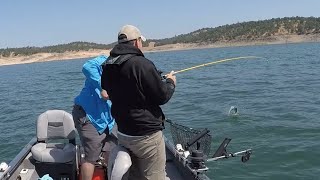 A Couple Folsom Landlocked Kings -- Folsom Lake Salmon Fishing