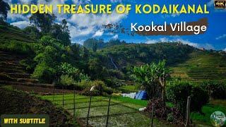 Hidden falls in Kookal Village Kodai | Offbeat Kodaikanal | கூக்கால் கிராமம்