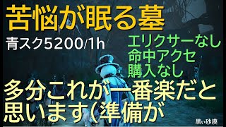 【黒い砂漠PC】苦悩が眠る墓 (Crypt of Resting Thoughts) 青スクのみ 1h 5200 狂奔狩り【ゆっくり実況】