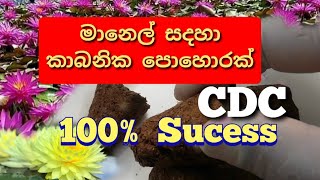 ✔100% කාබනික ලෙස මානෙල් සදහා පොහොර යොදන ආකාරය|How to fertilize waterlilies organically in sinhala