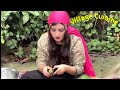 Village Cooking l Iranian Traditional Cuisine l Deshi Girl Cooking Vlog l Cooking Food l