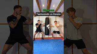 Taekwondo vs Karate