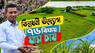 ভিন্নধর্মী উদ্যোগ- চাকরি ছেড়ে ৭৬ বিঘায় ঘাস চাষ | বছরের বিঘা প্রতি লাভ কত? খরচ কত? ঘাস চাষ পদ্ধতি