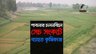 পাবনার চলনবিলে সেচ সংকটে ব্যাহত কৃষিকাজ