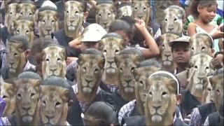 Lakhs pledge to save Gujarat's pride on World Lion Day