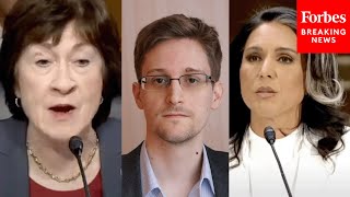 Susan Collins Asks Tulsi Gabbard Point Blank If She'd Push For 'Any Kind Of Clemency' For Snowden