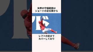 「守備職人と呼ばれた」矢野雅哉についての雑学#野球#日本の野球選手#広島東洋カープ