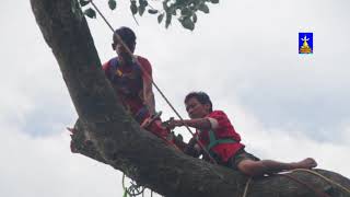 Cutting tree#  यसरी रुदैछ# विकलचोकको पिपलबोट# पुर्खाको धर्म हाम्रो कर्म यस्तैछ.....