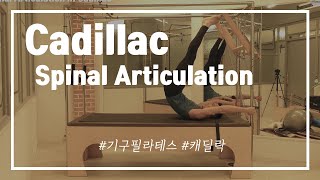 기구필라테스 캐딜락 척추분절 시리즈ㅣCadillac Spinal Articulation l 척추건강을 위한 분절 운동모음