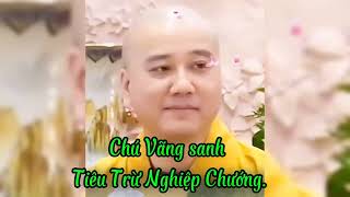 Trì Chú Vãng Sanh Tiêu Trừ Nghiệp Chướng. Thầy (Thích Pháp Hòa)