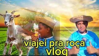 viajei para a roça vlog de 10 minutos