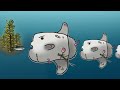 why the sunfish is the king of evolution