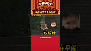 猫猫：我也没有很需要你理我 #猫猫  #娱乐评论  #shorts