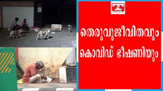 ഷെല്‍ട്ടര്‍ ഹോമുകളില്‍ നിന്നും പുറത്തുചാടുന്നവര്‍ .നഗരം തെരുവ് ജീവിതത്തിലേക്കോ?