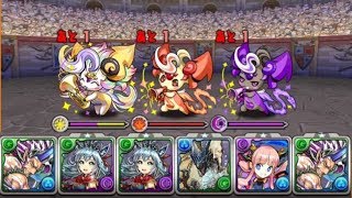 【パズドラ】7×6ターディスで裏闘技安定！？周回パ紹介【裏闘技場】