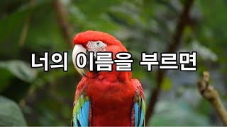 [ 시낭송 ] 너의 이름을 부르면 /신달자   낭송 /  전필주 #시낭송 #너의이름을부르면 #신달자 #전필주