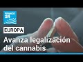 Cómo avanza en Europa el debate para la legalización del cannabis recreativo