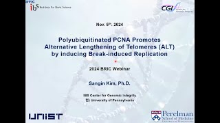 DNA 복제 단백질 유비퀴틴화를 통한 특정 암세포에서의 텔로미어 항상성 유지