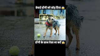 अपने पालतु डॉग के साथ ऐसा कभी ना करें 😱 | #short #dog #movie #anime #cartoon