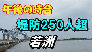 定時にちゃんと来るイシモチ　若洲海浜公園　2回釣行