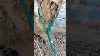 Easy Released Bowline Knot #knotskill #rope #ropeknots