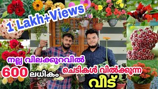 Flower Plant Home Garden Visit Kerala | Plant Price and Full Details | Plants \u0026 Pots Garden Edakkara