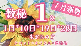 【2023年７月】数秘1運勢リーディング～タロット×オラクル×数秘術　#タロット占い #オラクルカードリーディング #数秘術