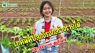 เทคนิคการปลูกบุกหวาน สร้างรายได้หลัก 100,000 บาท/รอบ