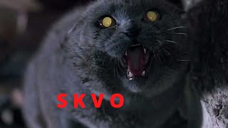 TRAGIC STORY/CKVO/Horror at night.Horror stories.