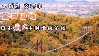 【大阪 | 星田园地 】日本国内最大木地板吊桥「星之秋千」：关西大阪赏枫超秘境，红叶围绕的夢幻大吊橋   #ほしだ園地#星のブランコ#府民の森#星田园地#吊桥#大阪#OSAKA#日本#紅葉#秋#交野市