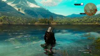 AMD Virtual Super Resolution (VSR) 1080P vs 4K Test | The Witcher 3