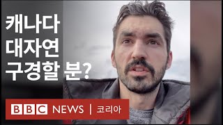 집콕의 순간, 캐나다 대자연 보여준 틱톡커 - BBC News 코리아